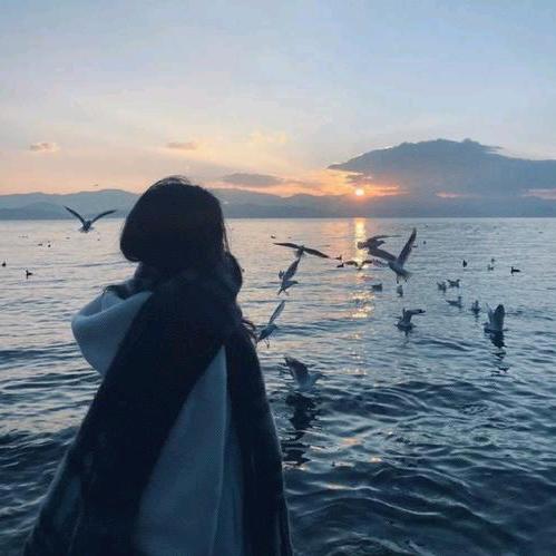 止慕.🍽 🐶🍖⁰³³¹