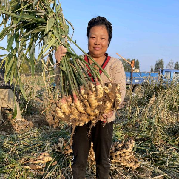 董鲜生精品农贸