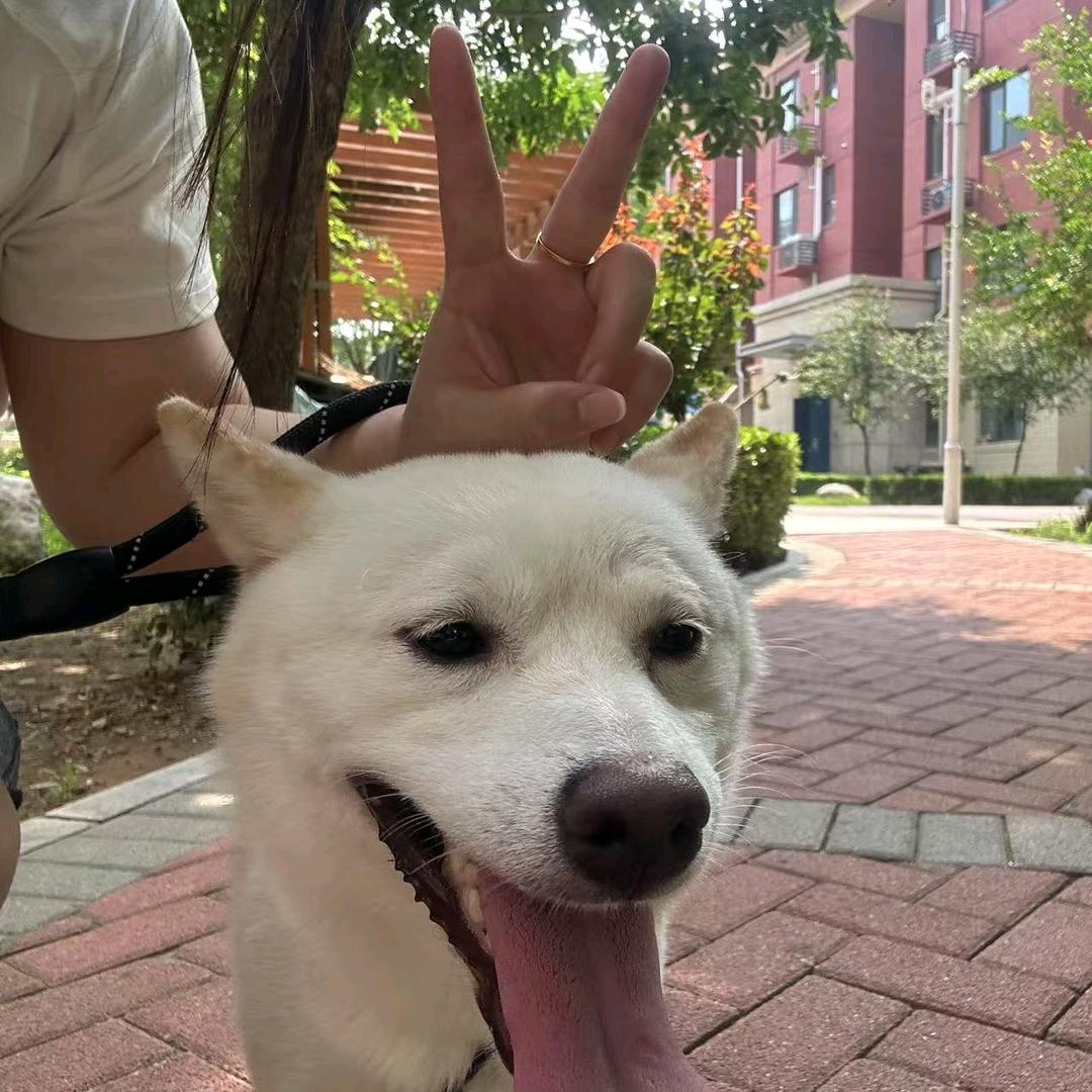 窜稀皮皮大王