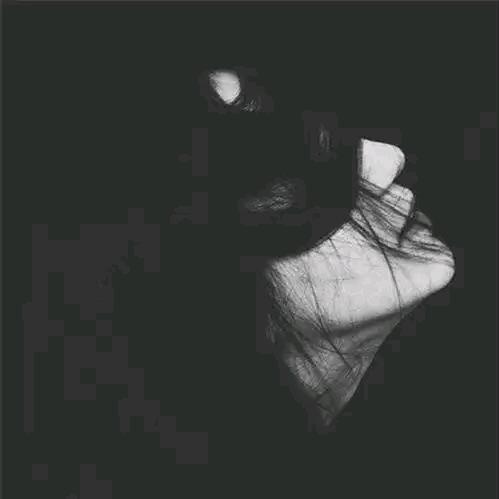🦉猫妖🎭