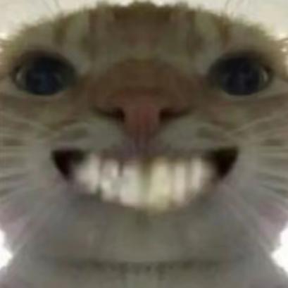 楠秋