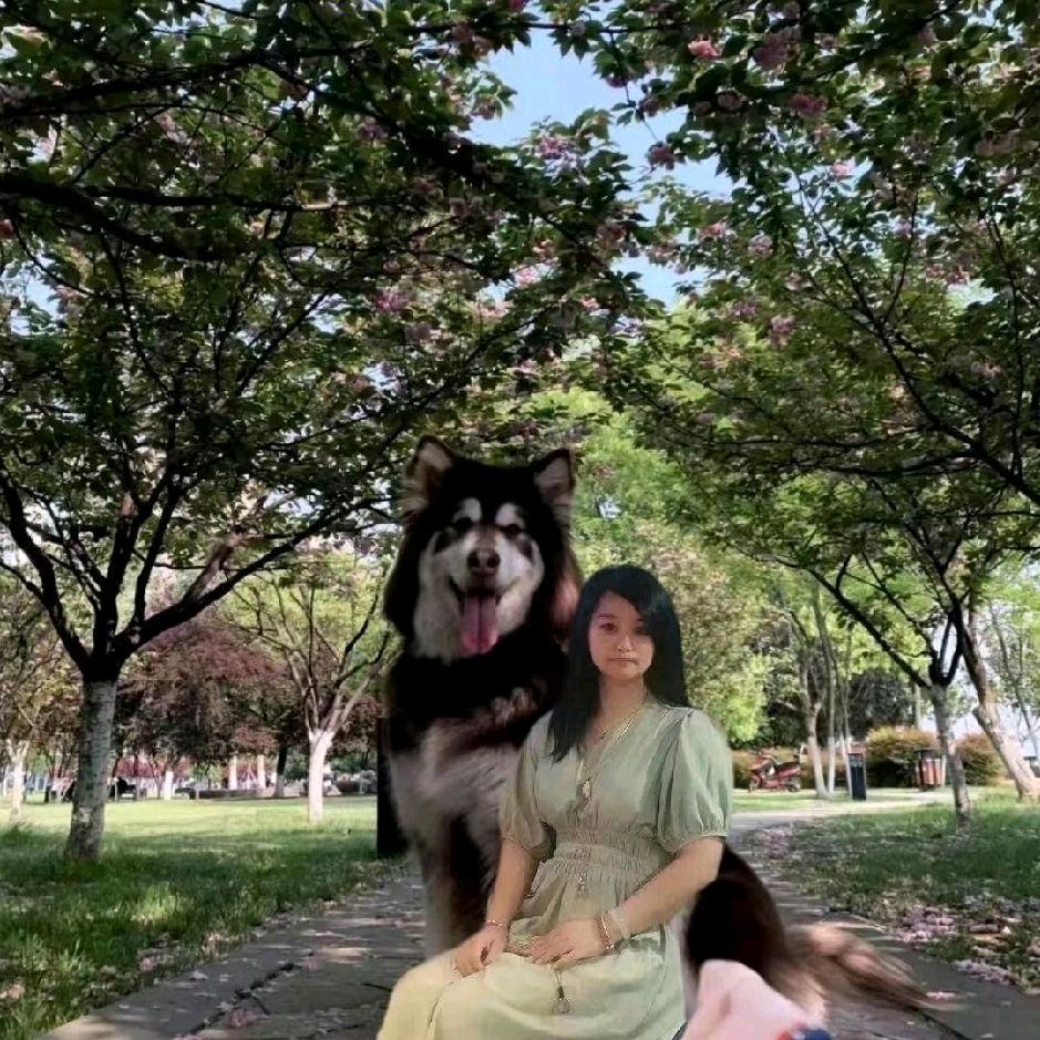 妮妮姑娘护生园