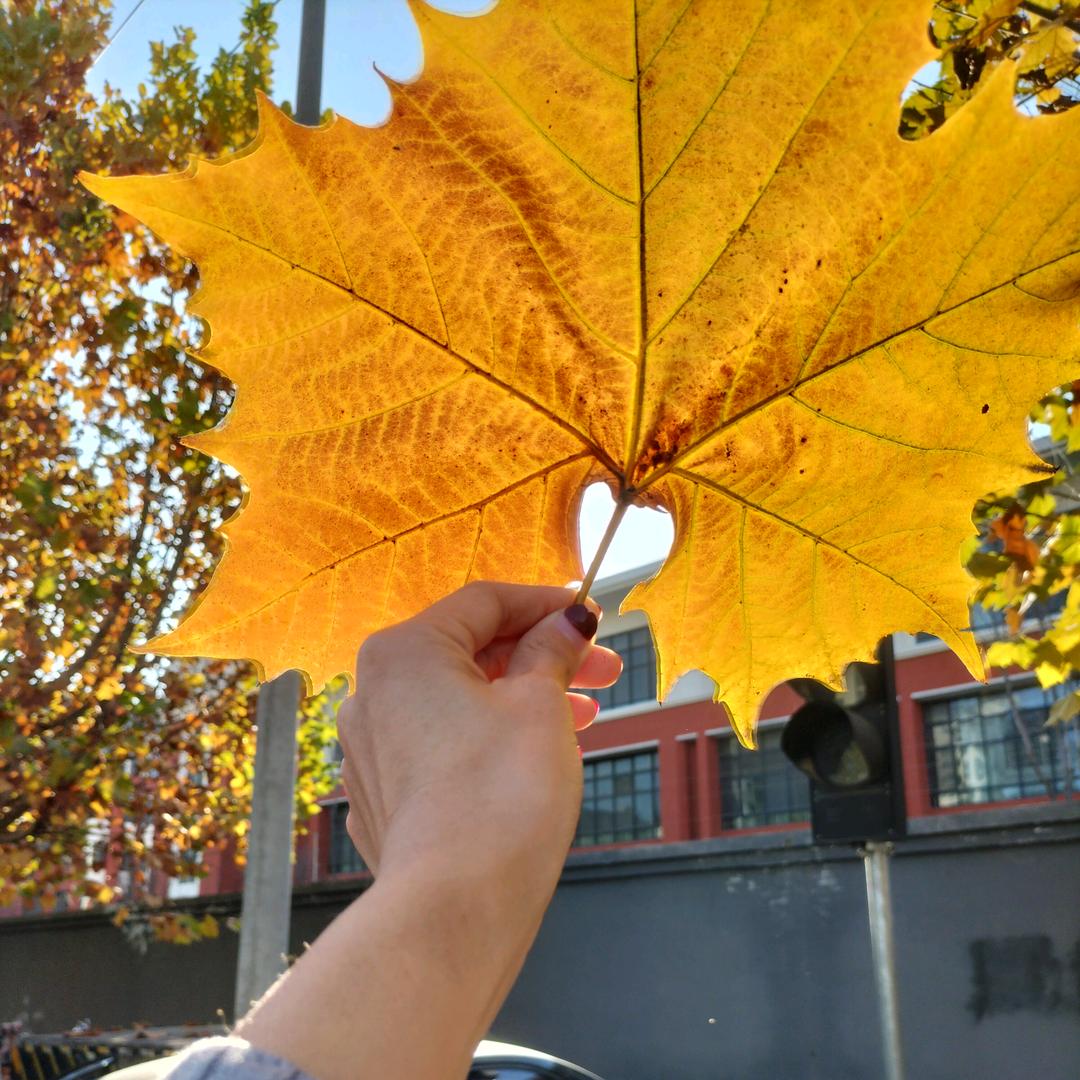 鱼被煮了😘😘😘