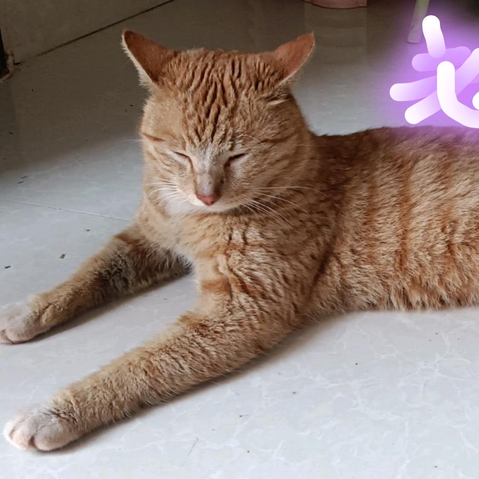 好想休息