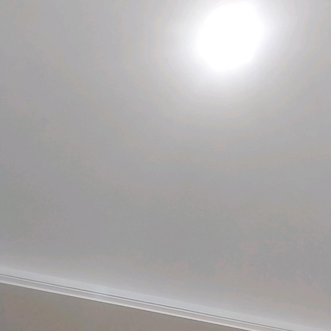 文武双全