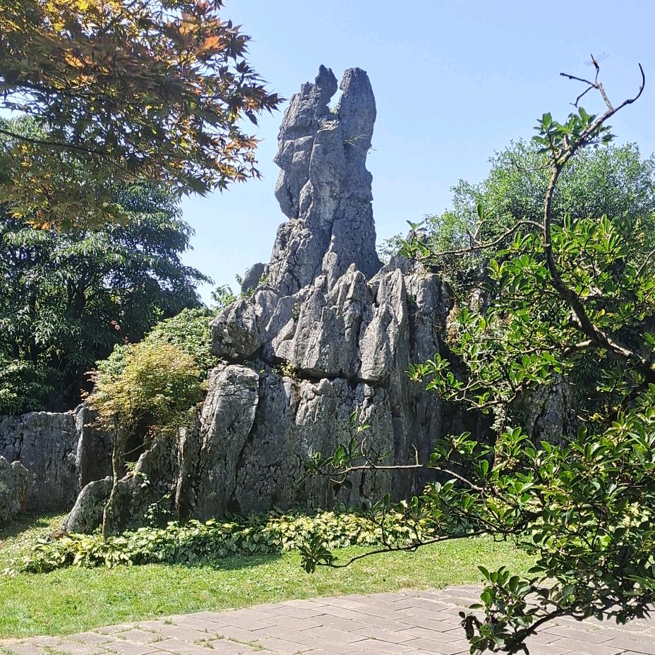 广安房产猪尔八