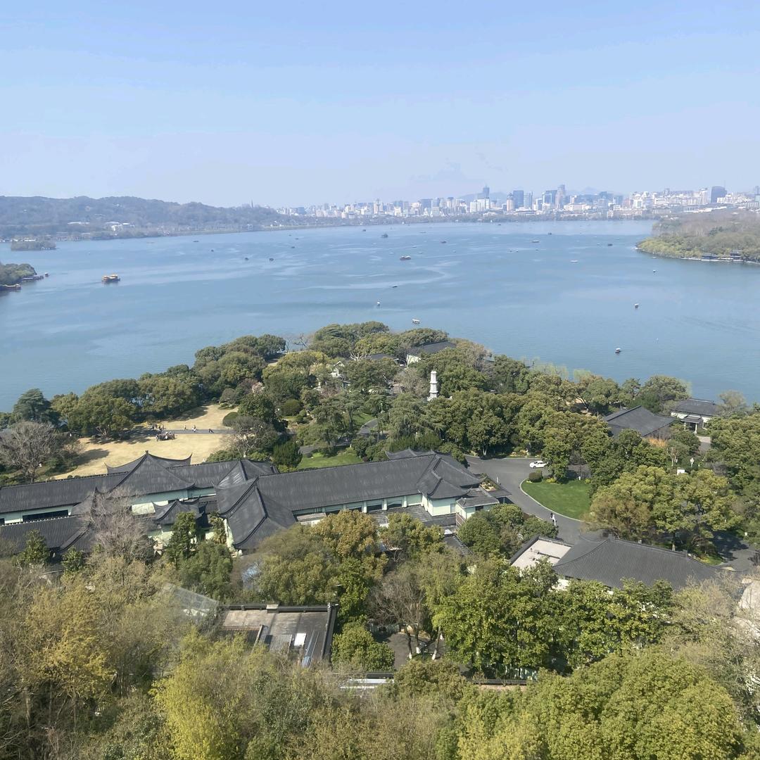 风中遗憾