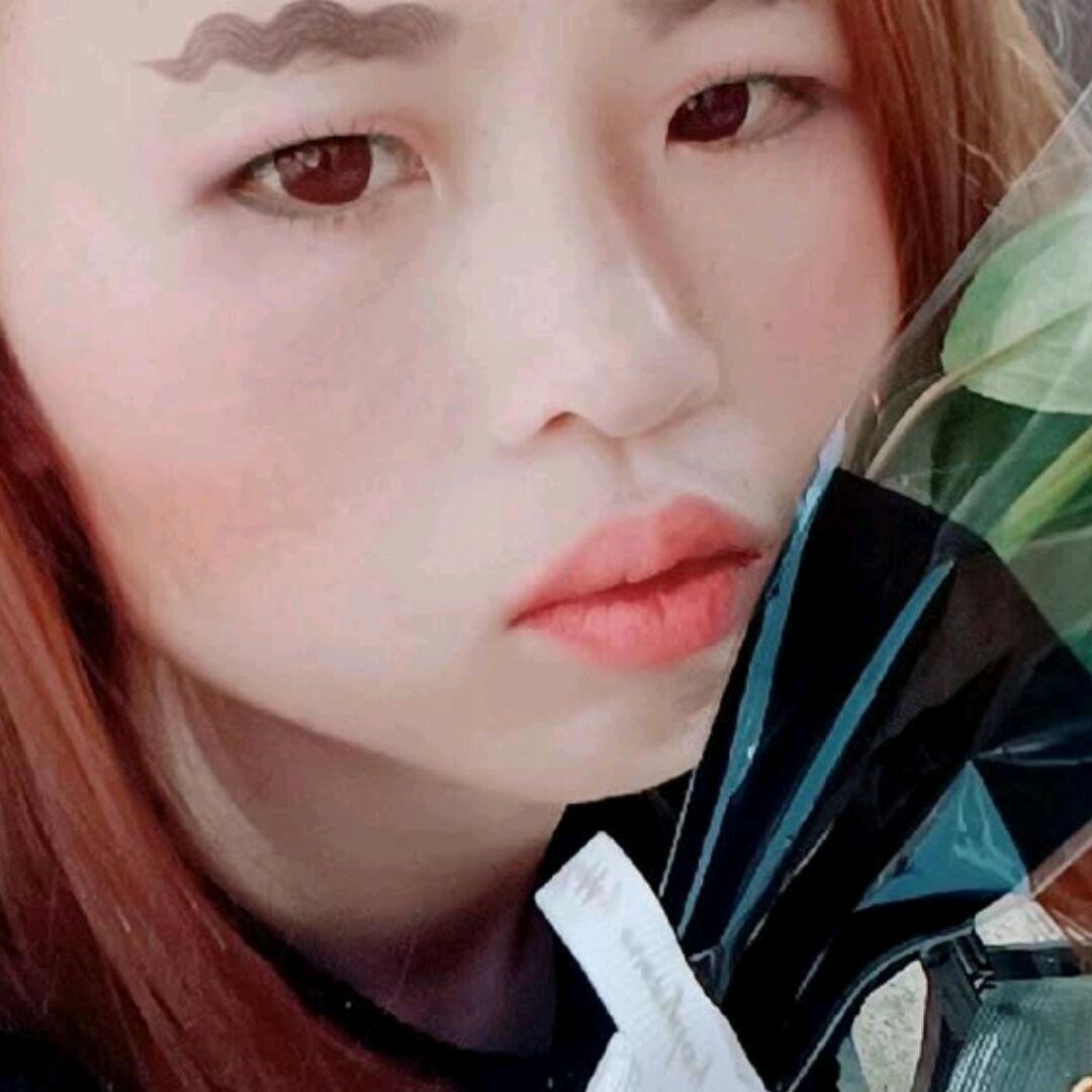 zheng凤