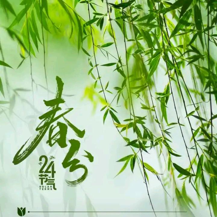 舂分