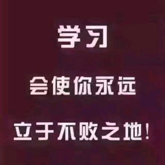 漂泊的树叶