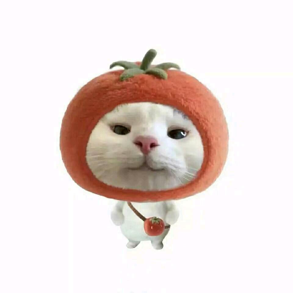 隨風