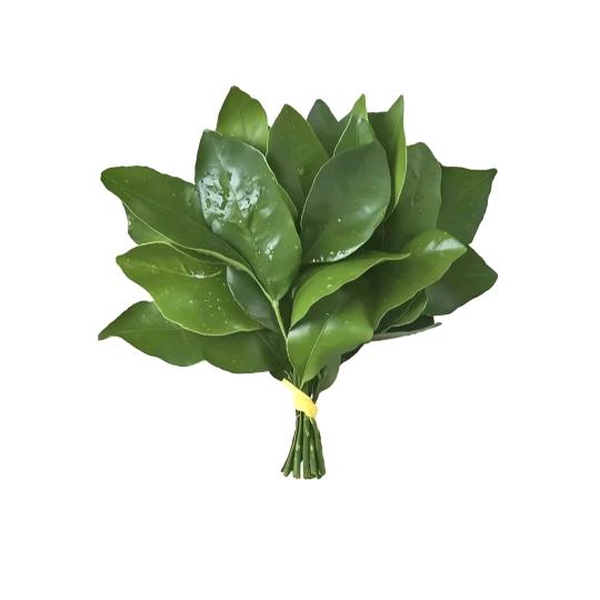 小刘有迷彩