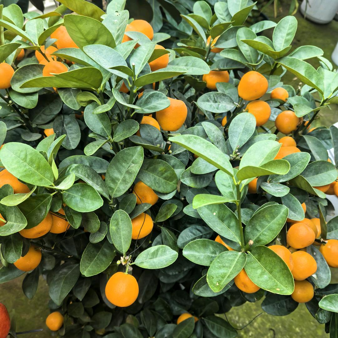 邯郸奔跑建筑劳务公司