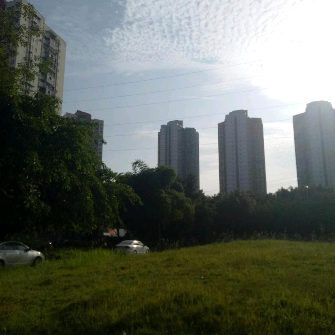 重庆小林