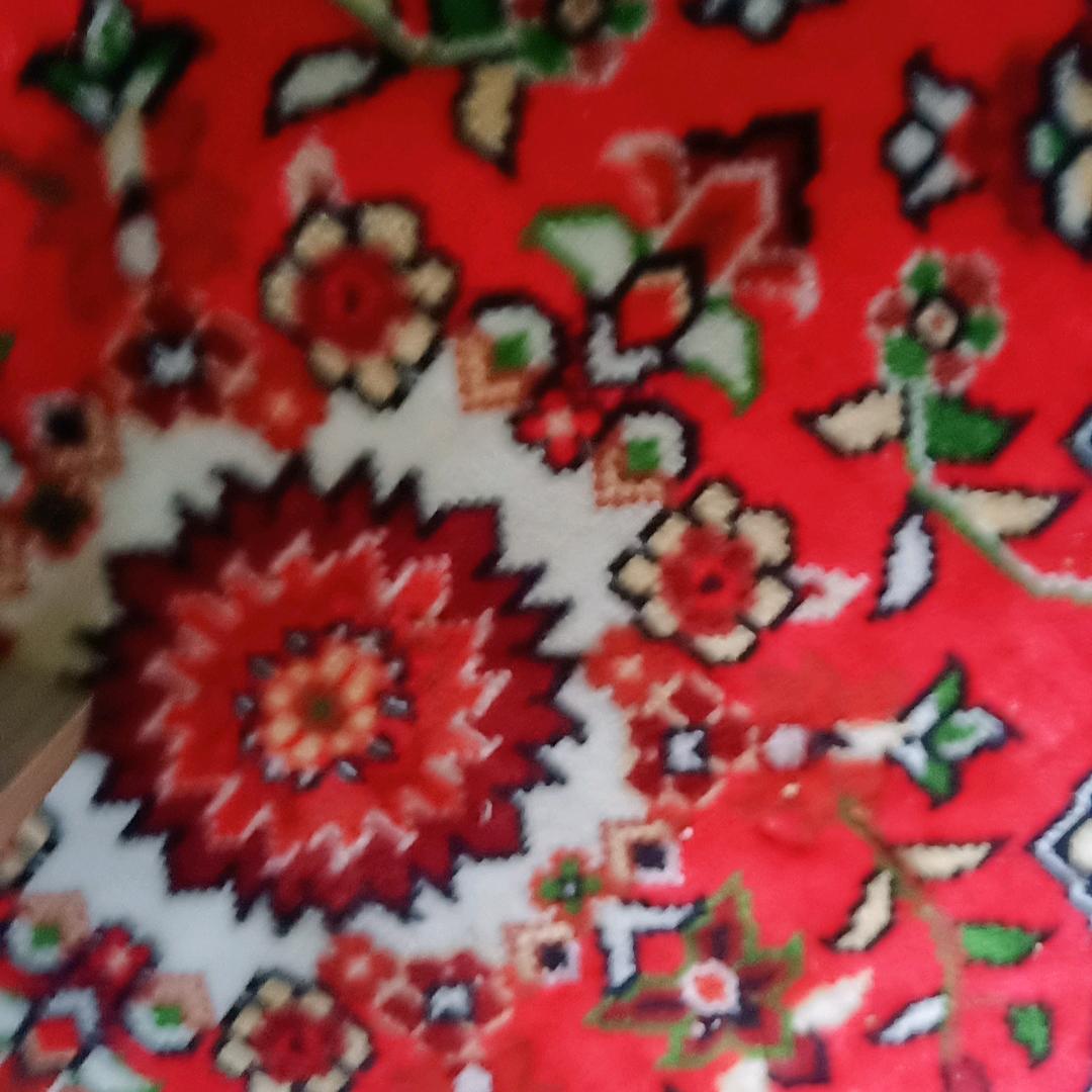 aynur5938