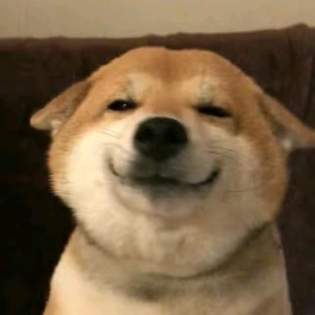 阿珍不嘻嘻