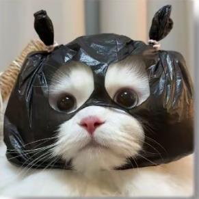 🫶ᩚ 洛᳐洛᳐੭.🎐