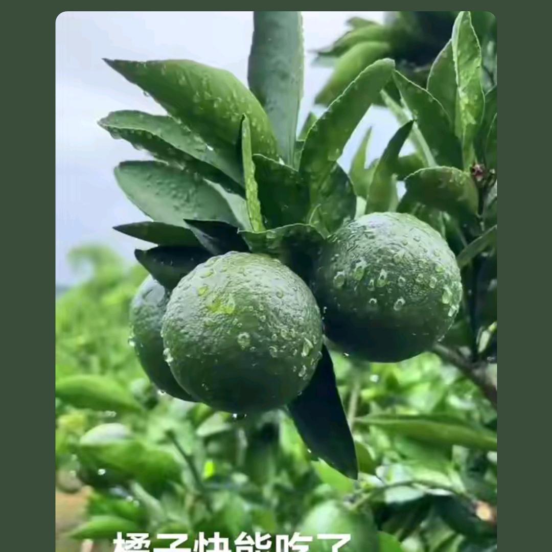 瘦了就爱美💃