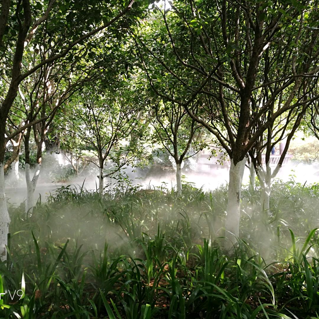 用户43961588260漂泊的魂