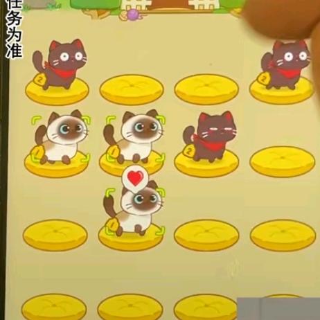 小点点
