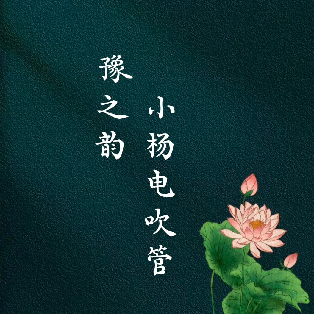 小杨 电吹管