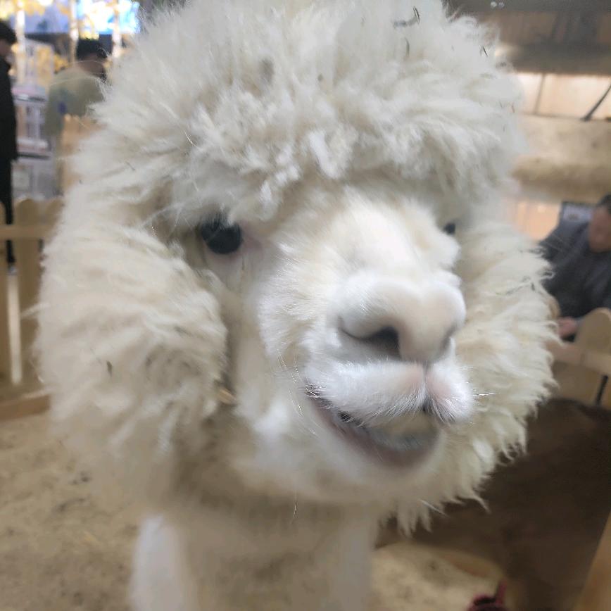 吃饭不许吧唧嘴🌈