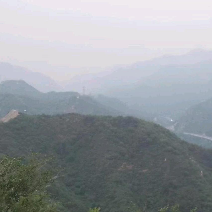 幸运锦鲤头像