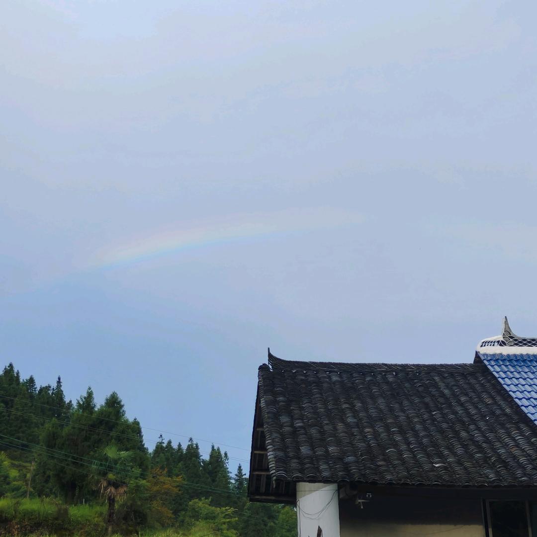 我要小熊，给我小熊