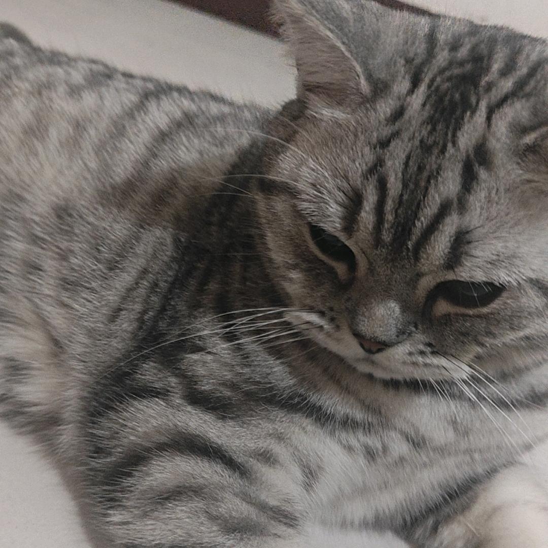 栋倍.