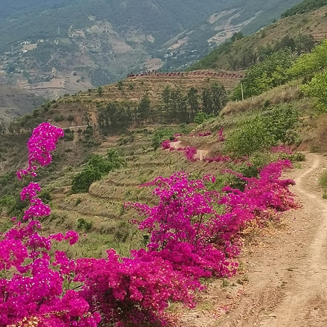换个地方