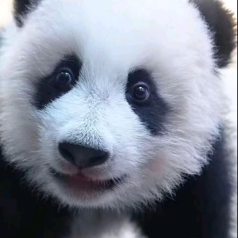 罒夕