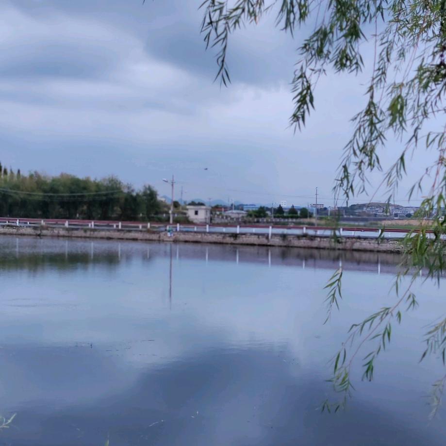 小晴朗小学生