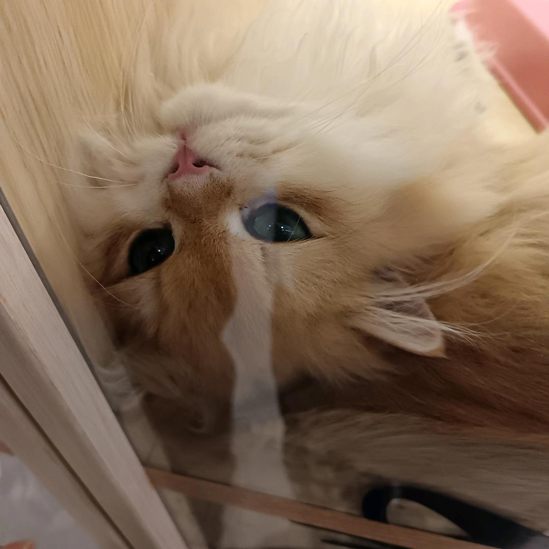 趁雨停