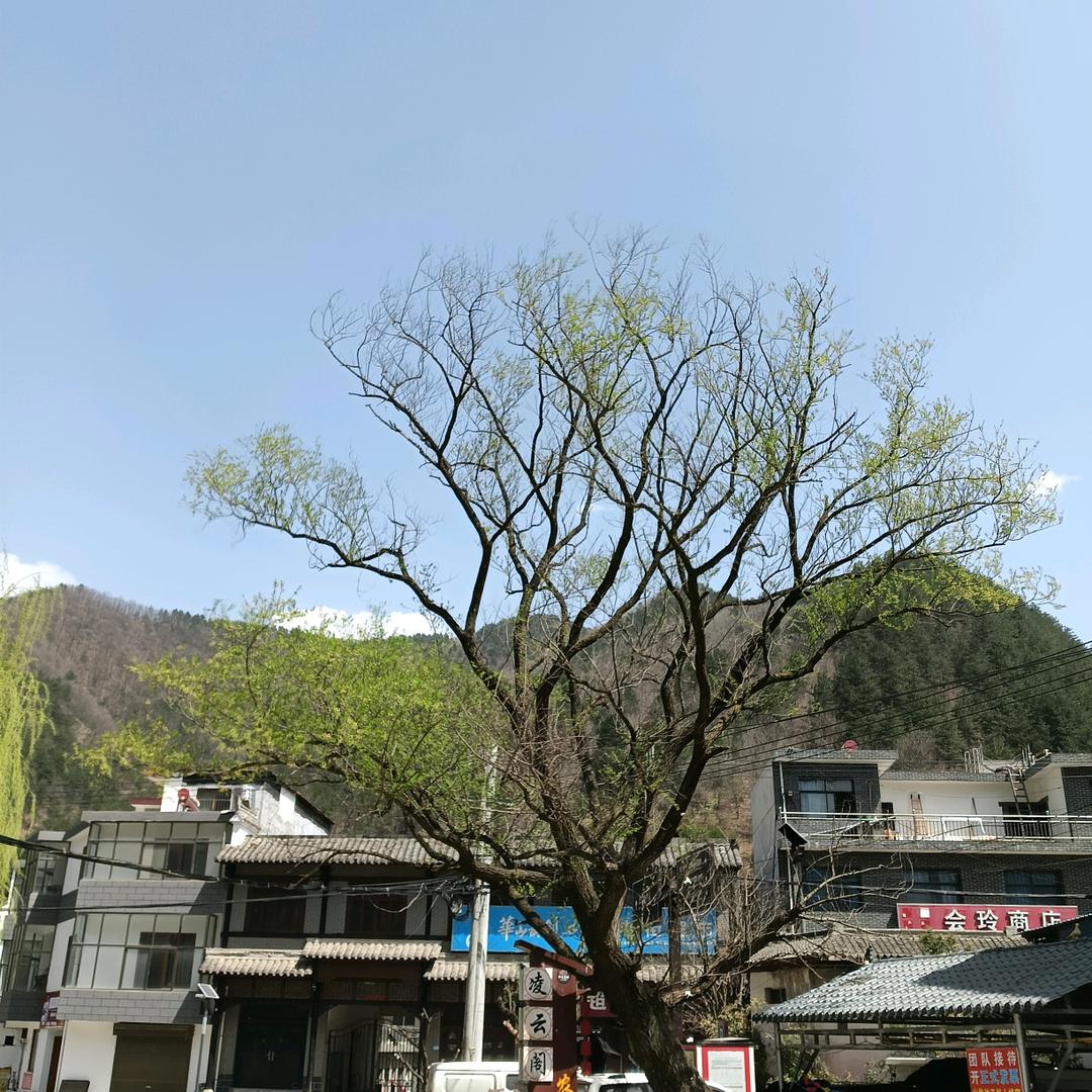 风格🌹