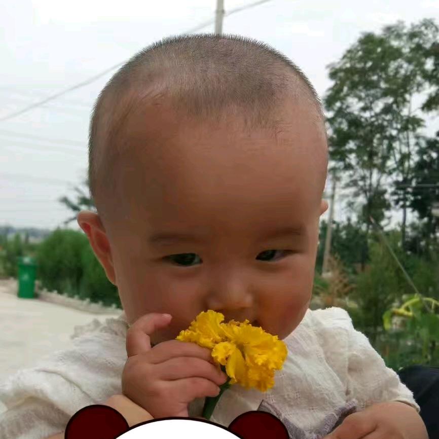 涵涵爸爸在努力