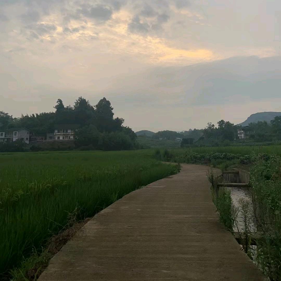 一粒沙(๑•̌.•̑๑)ˀ̣ˀ̣