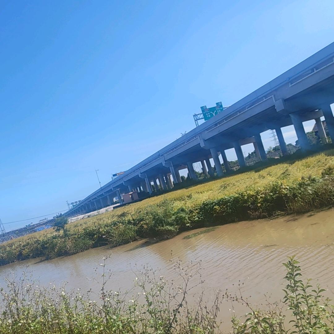 菜鸟不是一般鸟