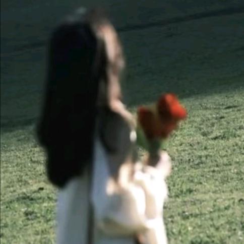 鸢杳ʕ • ᴥ • ʔ