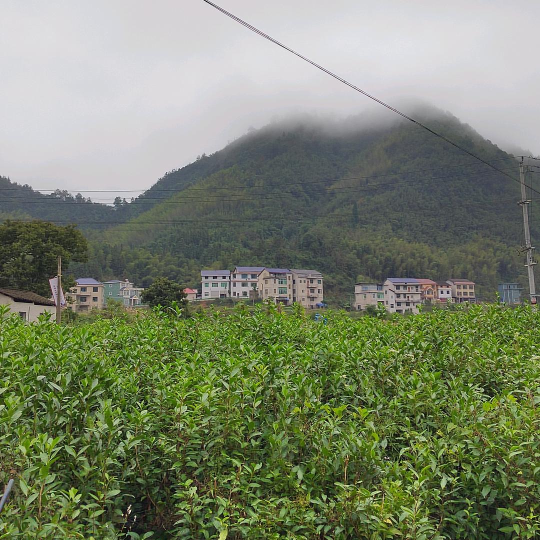 碧水蓝天