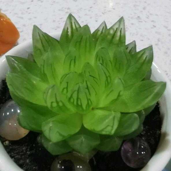㜂孞