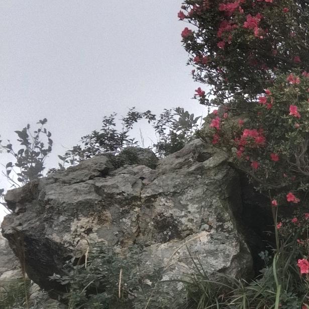 崔🩷广🌺瑞🩷🩷然🩷🩷🩷😝