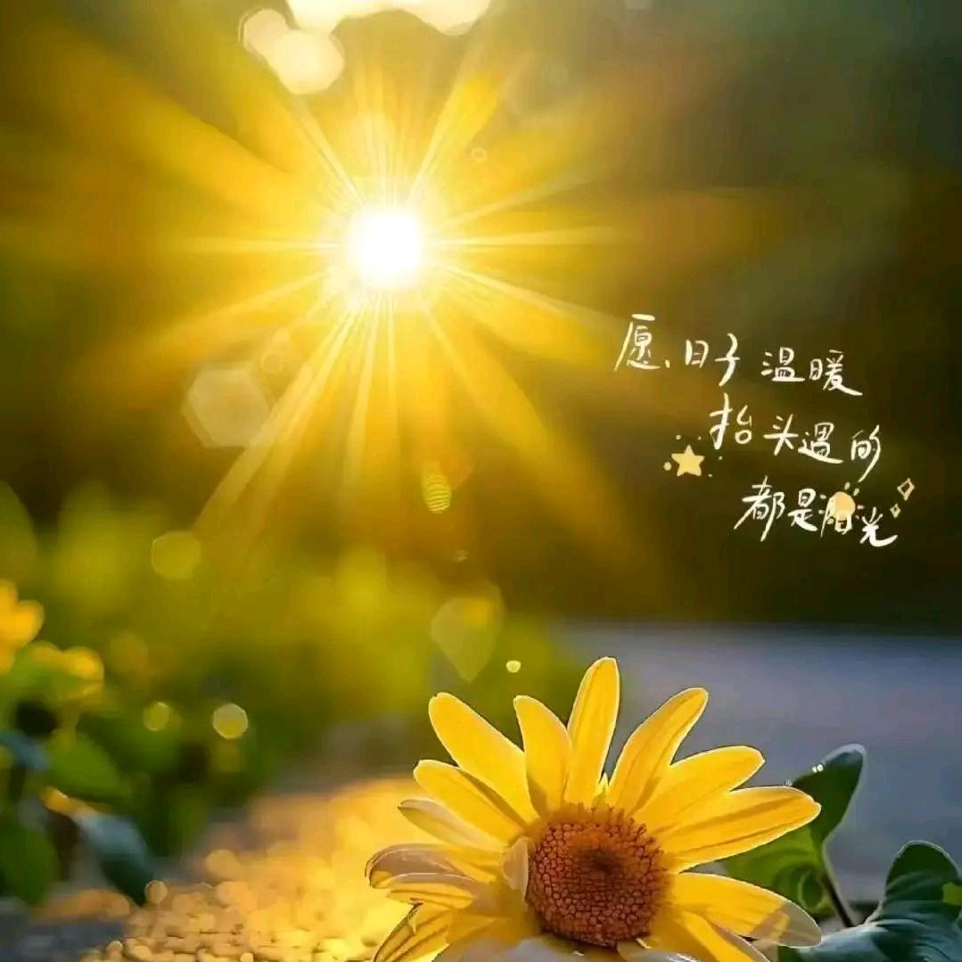 小白哥