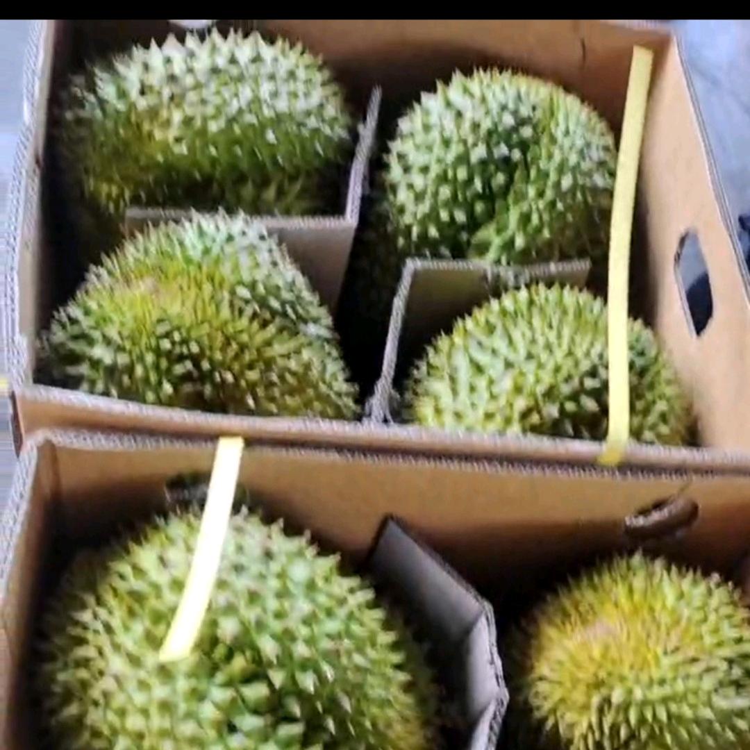 特惠鲜