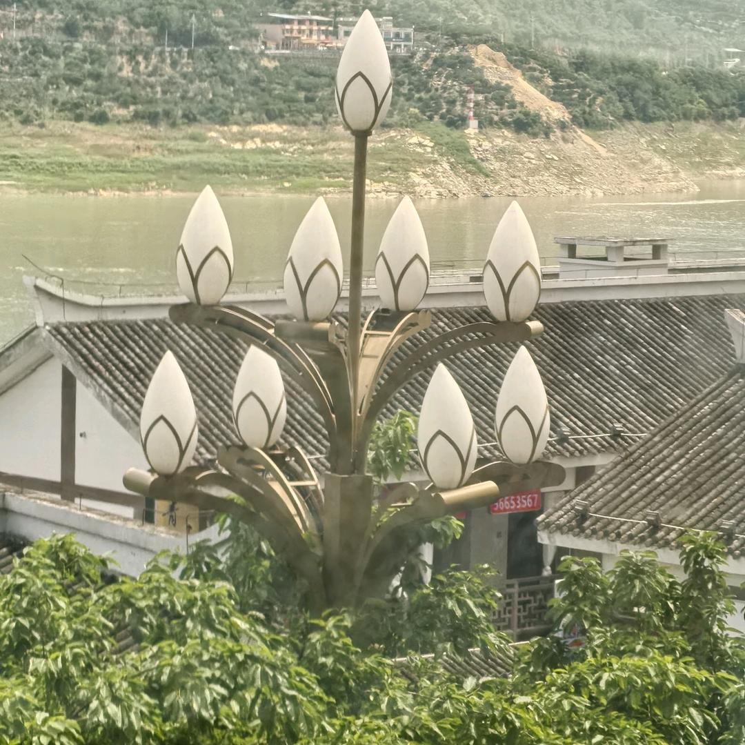 娇利