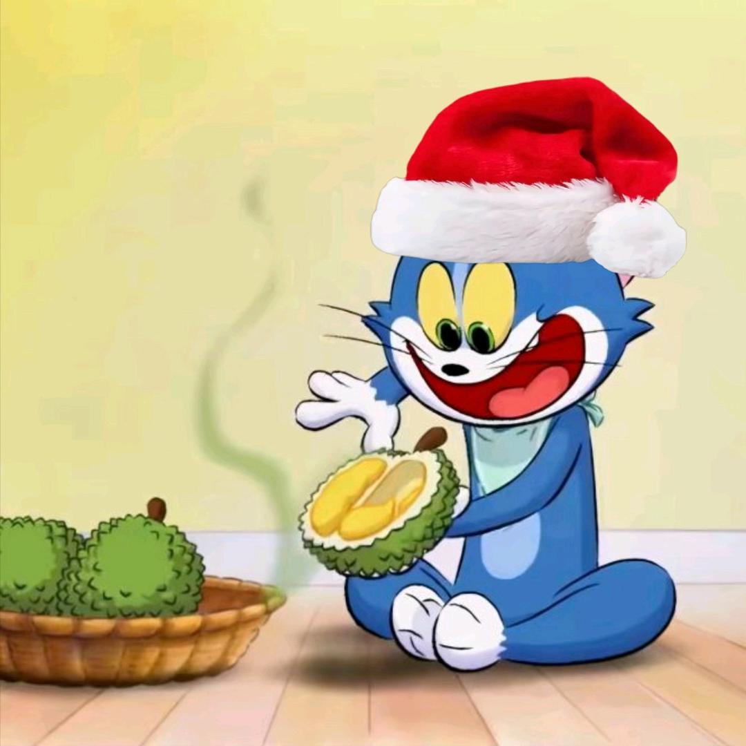 暴躁的小　　🪳