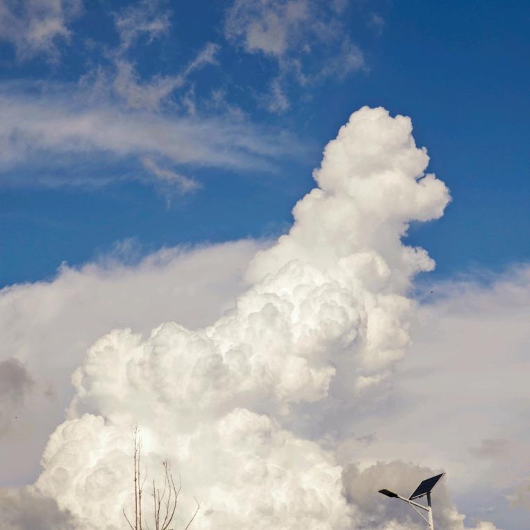登登登登葵（班主任版本）