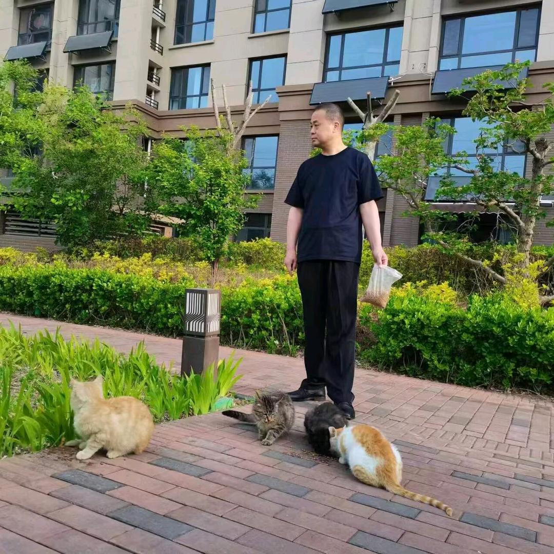 喵叔日记