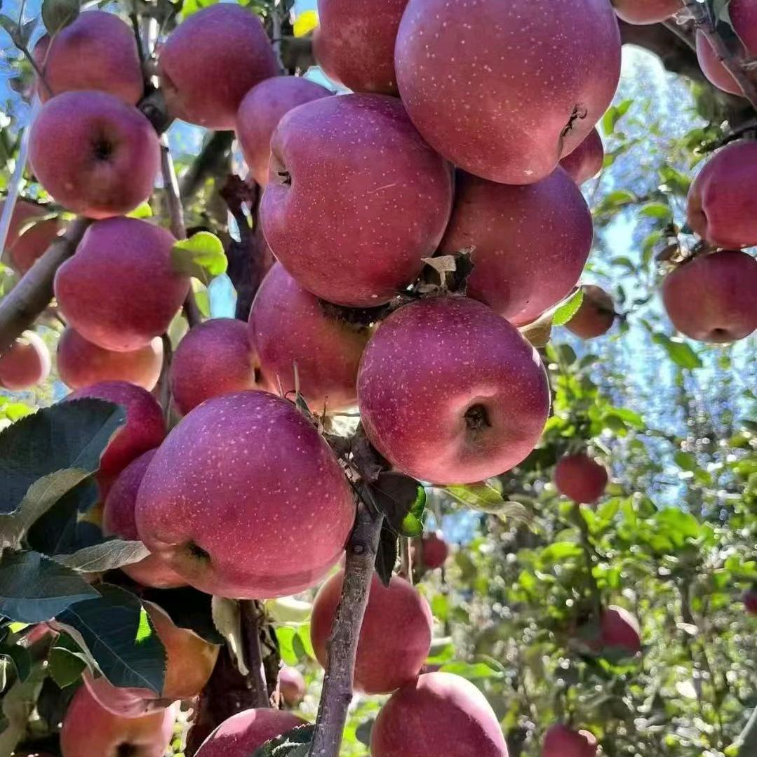 🌹💞惜缘💞🌹