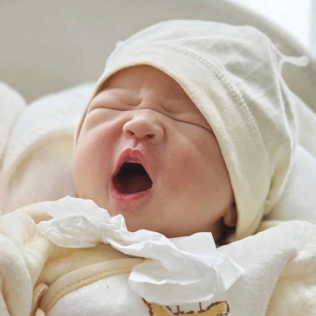 还是叫我啊茂大王吧