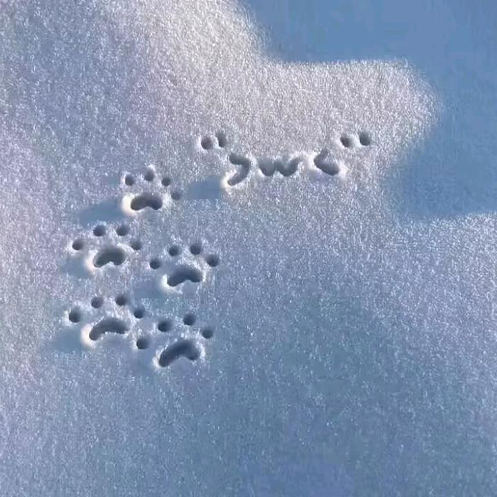 怡宝